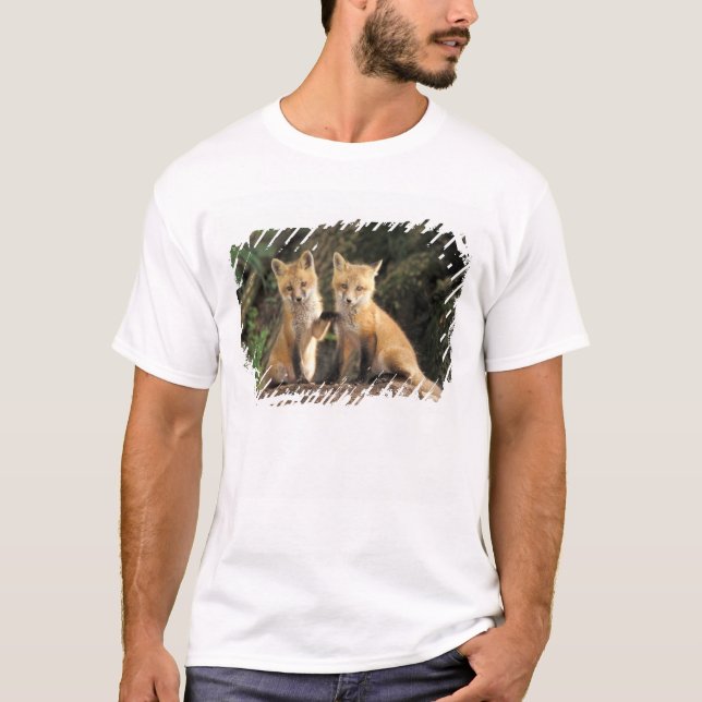 T-shirt Renard roux bébé devant terrier (Vulpes vulpes) (Devant)