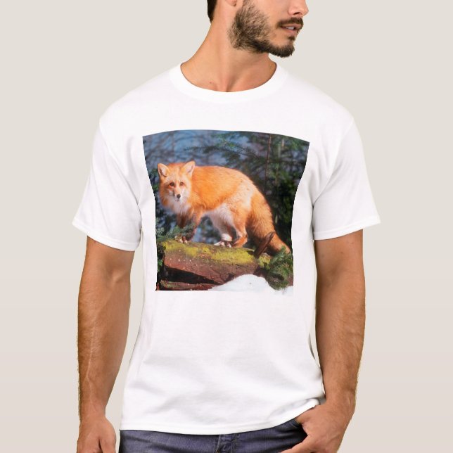 T-shirt Renard roux sur une bûche (Devant)