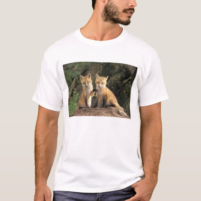 T-shirt Renardeau roux devant terrier Vulpes vulpes) (Devant)