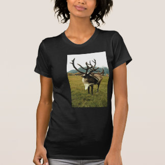 T-shirt Renne #01