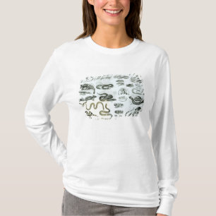 T-shirt Reptiles, serpents et lézards