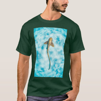 T-shirt Requin zèbre