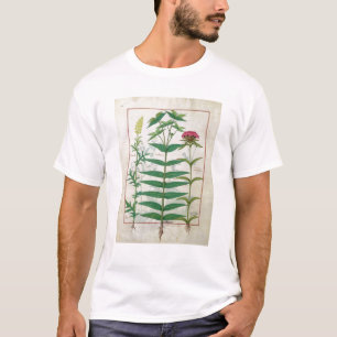 T-shirt Reseda, euphorbe et oeillet