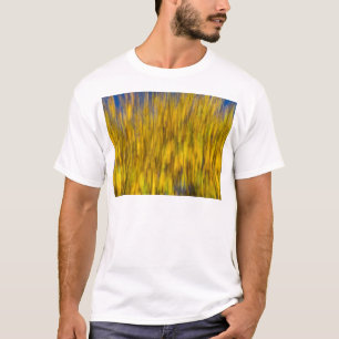 T-shirt Résumé d'automne