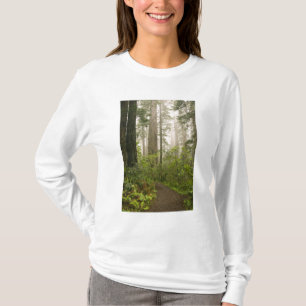 T-shirt Rhododendron en fleurs parmi les Séquoias à feuill