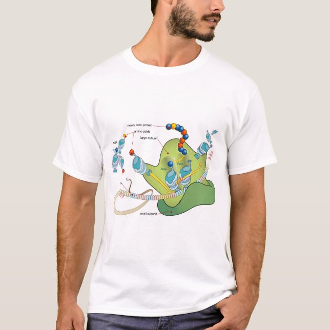T-shirt Ribosome mRNA tRNA molecules proteins Diagram  (Devant)