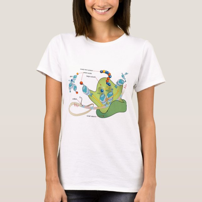 T-shirt Ribosome mRNA tRNA molecules proteins Diagram  (Devant)