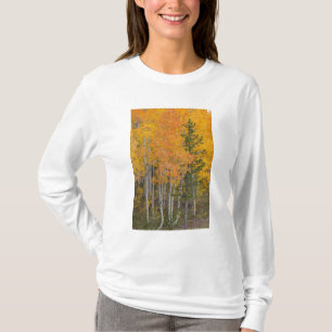 T-shirt Rivière Provo et trembles