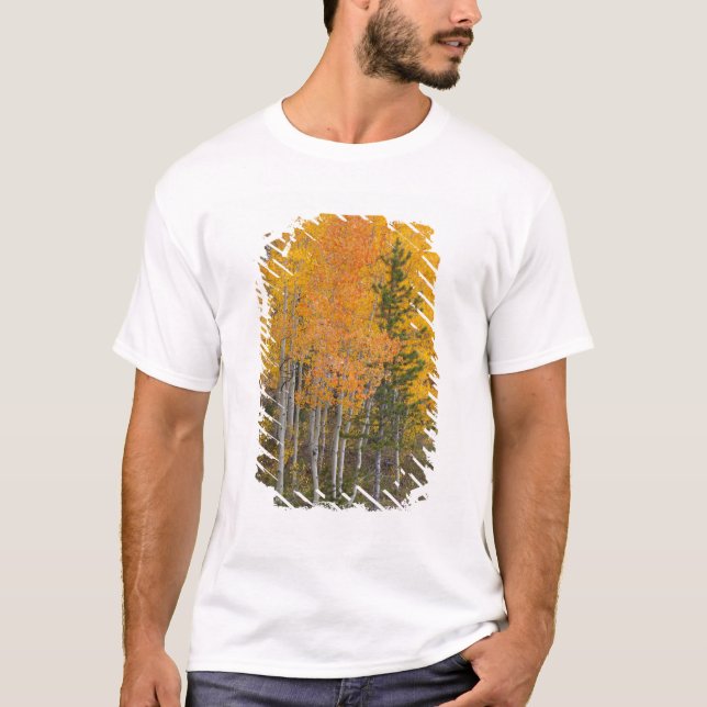 T-shirt Rivière Provo et trembles (Devant)