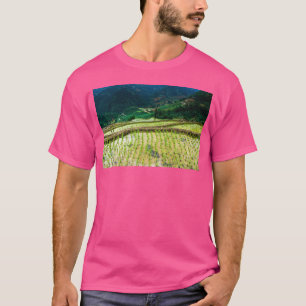 T-shirt Rizières de SAPA Joyaux du Vietnam - classique
