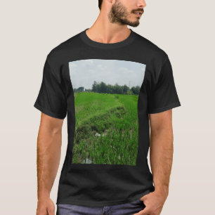 T-shirt Rizières vertes sous le soleil de midi