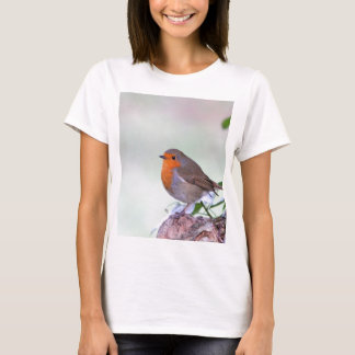T-shirt Robin