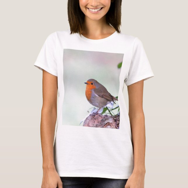 T-shirt Robin (Devant)