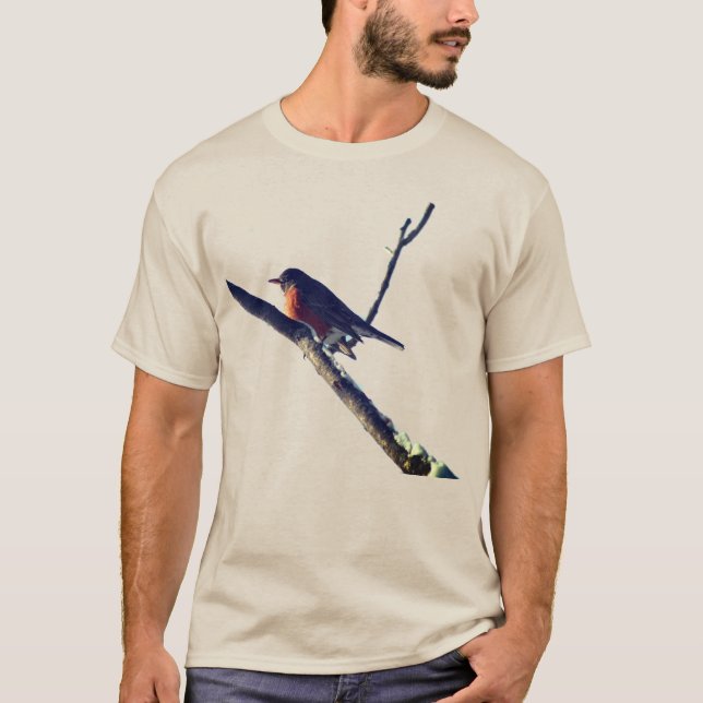 T-shirt Robin Dans La Nature De La Neige (Devant)
