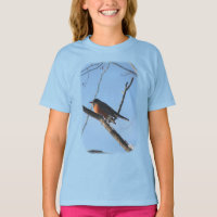 Robin d'hiver Nature animale 