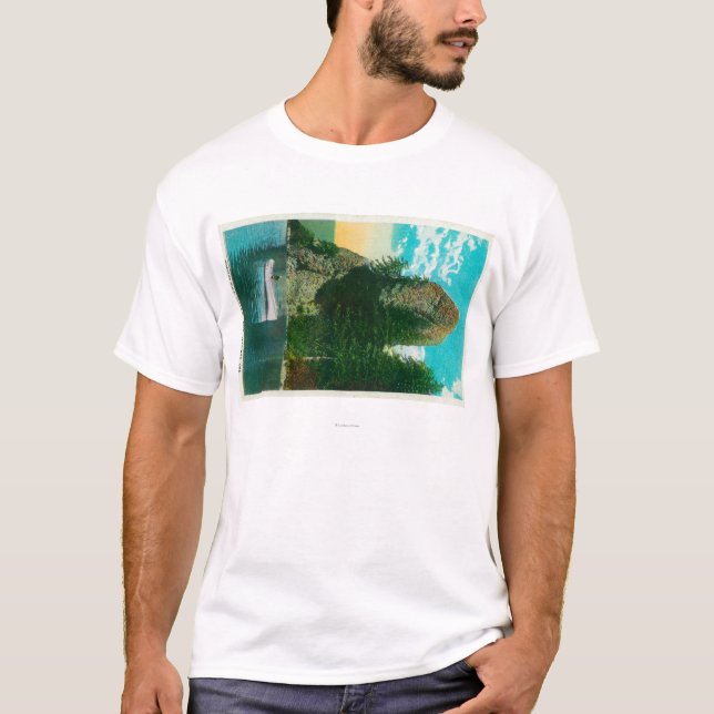 T-shirt Roche de coq sur le fleuve Columbia (Devant)