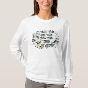 T-shirt Rodentia-Rongeurs ou animaux de rongement