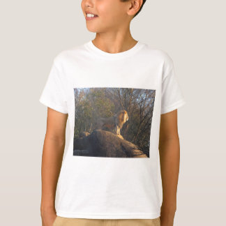 T-shirt Roi De La Jungle