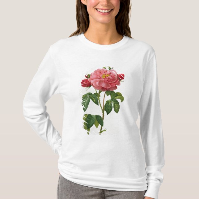 T-shirt Rosa Gallica Aurelianensis (Devant)