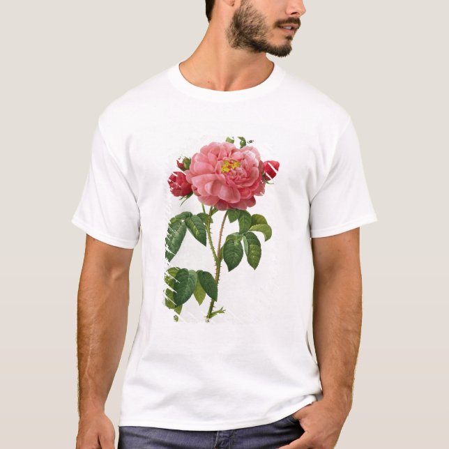 T-shirt Rosa Gallica Aurelianensis (Devant)