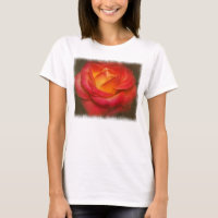 Rose à flamme sur parchemin