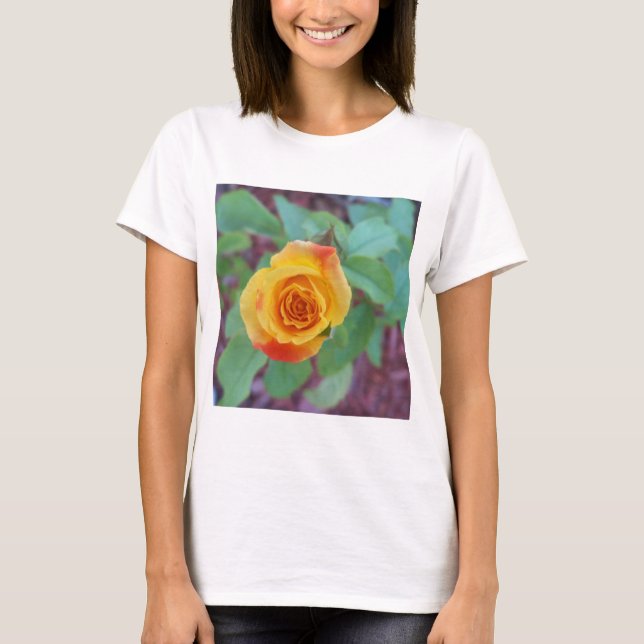 T-shirt Rose jaune orangé avec rosée matinale (Devant)