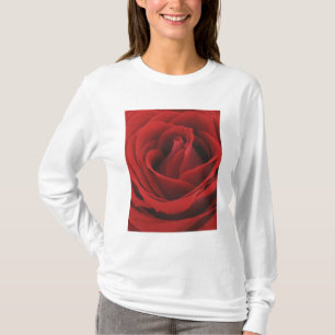 T-shirt Rose rouge de floraison