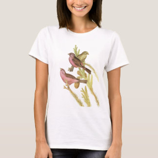 T-shirt Rosefinch Rouge-enveloppé