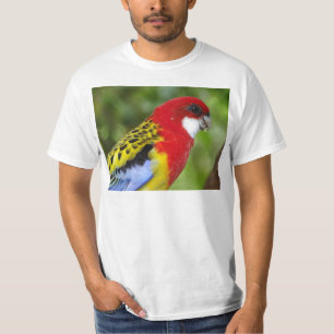 T-shirt Rosella oriental masculin