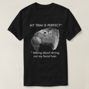 T-shirt Rosmarus d'Odobenus - mon équilibre est parfait