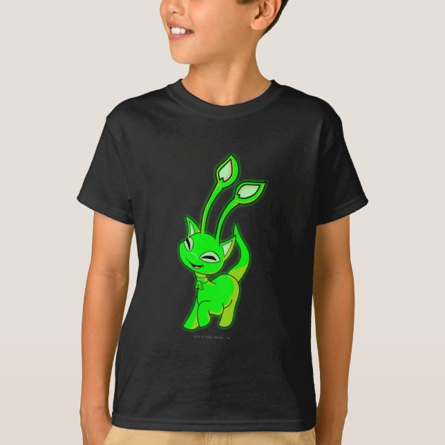 T-shirt Rougeoyer d'Aisha (Devant)
