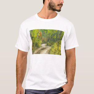 T-shirt Route avec couleurs d'automne et trembles à Kebler