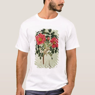T-shirt Rugosa de Rosa, de 'Flora Japonica