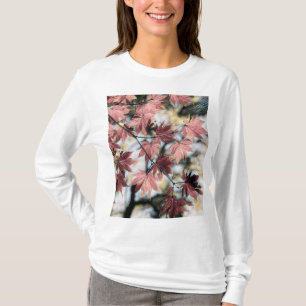 T-shirt Rustique feuille d'érable rouillé rouge brun rose