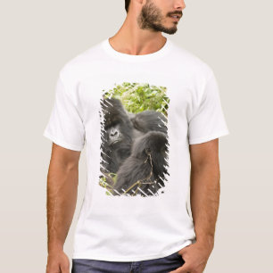 T-shirt Rwanda, Parc national des Volcans
