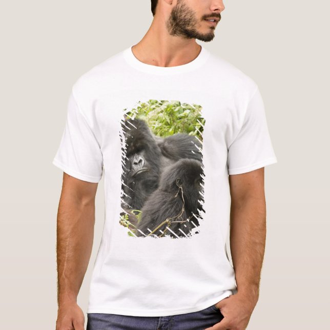 T-shirt Rwanda, Parc national des Volcans (Devant)