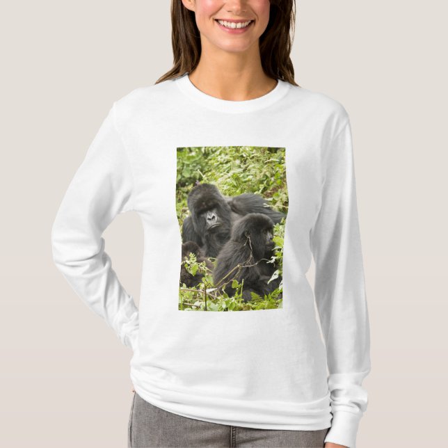 T-shirt Rwanda, Parc national des Volcans (Devant)