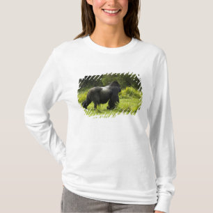 T-shirt Rwanda, Parc national des volcans