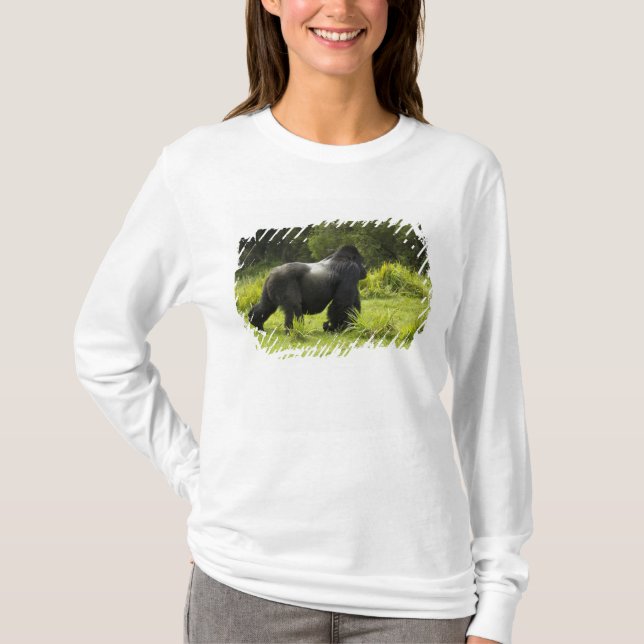 T-shirt Rwanda, Parc national des volcans (Devant)
