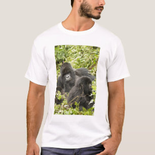 T-shirt Rwanda, Parc national des volcans
