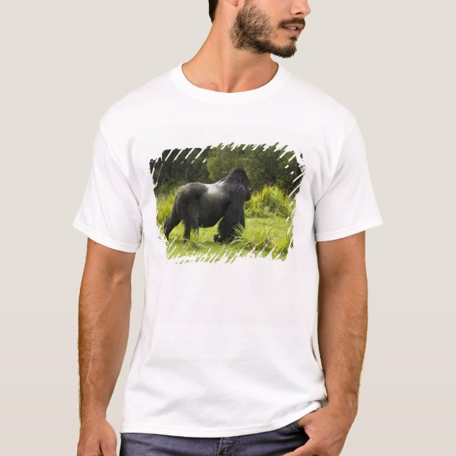 T-shirt Rwanda, Parc national des volcans (Devant)