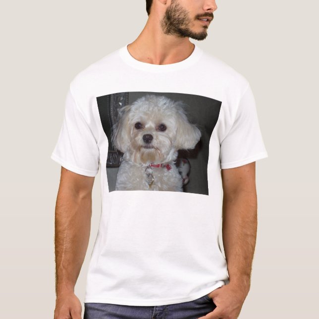 T-shirt Saki chamois (Devant)