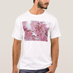 T-shirt Sakura Cherry Blossoms rose pâle