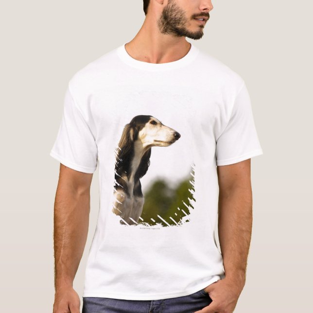 T-shirt Saluki 2 (Devant)