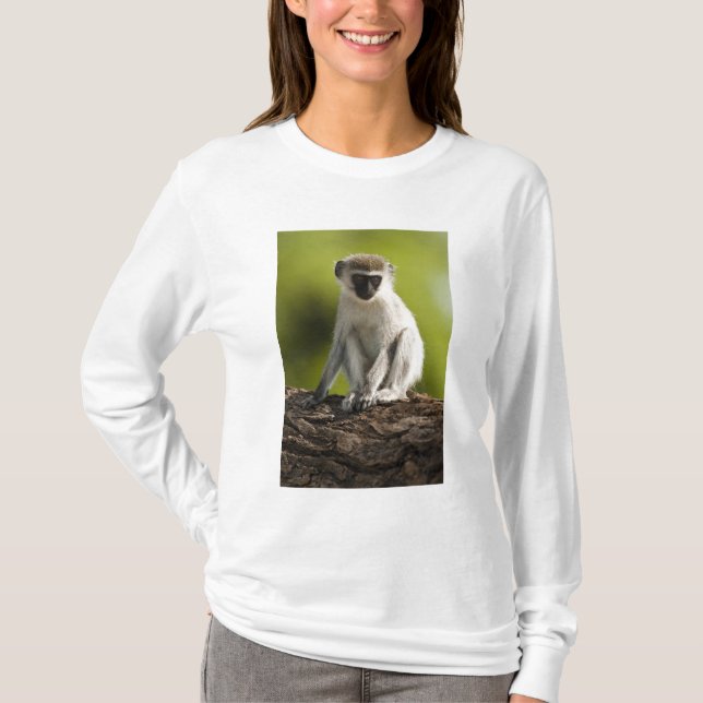 T-shirt Samburu Game Reserve, Kenya, Vervet Monkey, (Devant)
