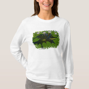 T-shirt San Francisco Californie Golden Gate Park et