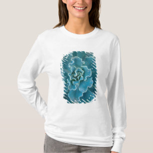 T-shirt San Francisco Californie, le parc Golden Gate et