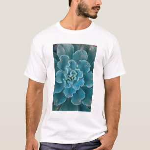 T-shirt San Francisco Californie, le parc Golden Gate et