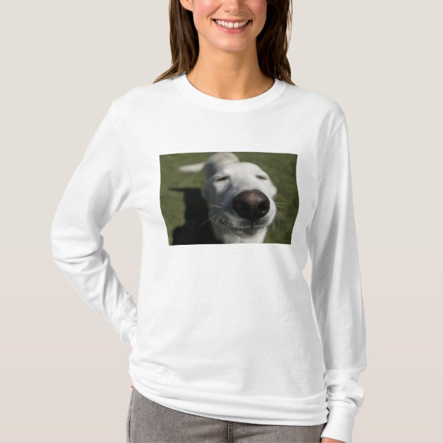 T-shirt Santa Fe, Nouveau-Mexique (Devant)