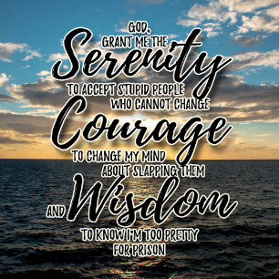 T-shirt Sarcastique personnes stupides Serenity Prayer tsh